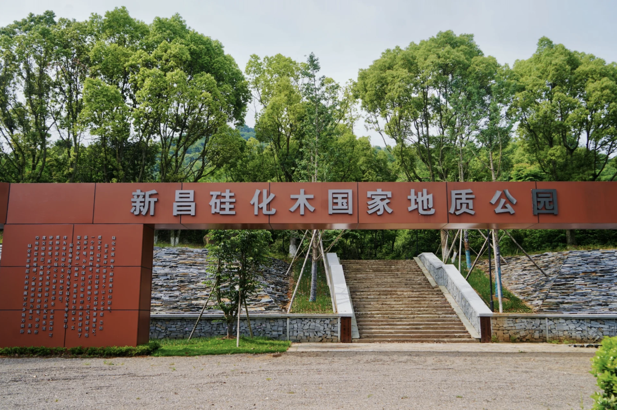 江新昌硅化木国家地质公园：探秘自然的奇迹