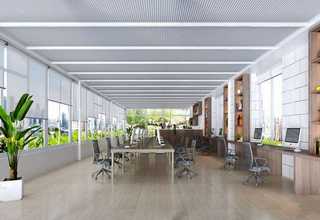 广州蓝底过背金龙鱼怎么繁殖后代