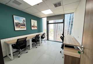 辽宁狗尾草草种种类