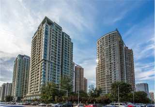 北京c25透水混凝土路面施工
